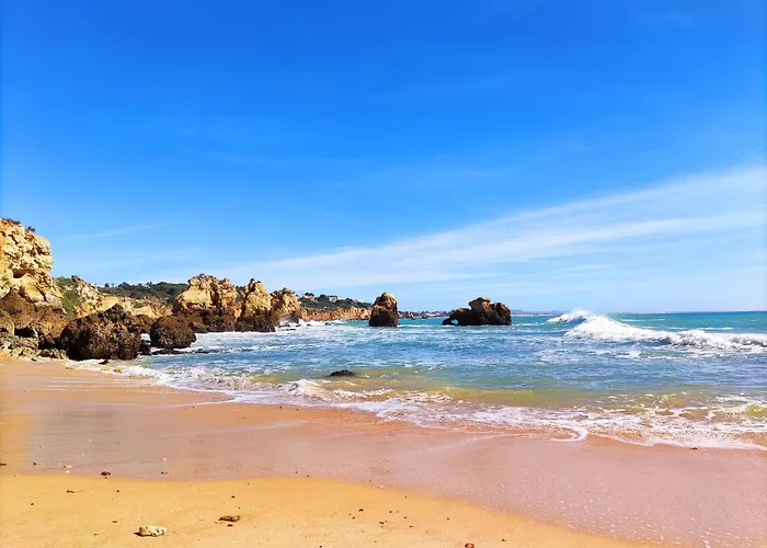 Sea & Sun Windmill By Be Cherish *